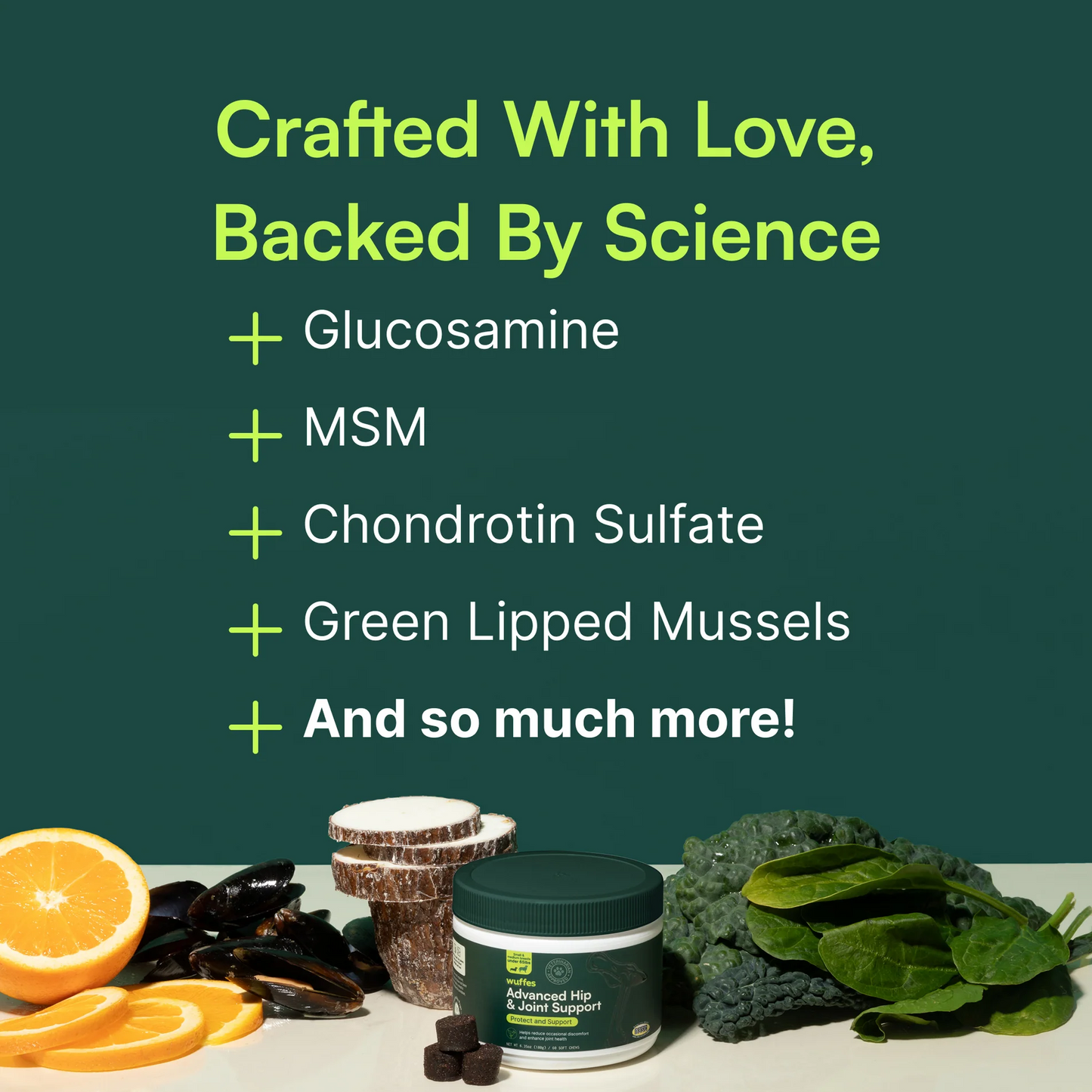 Advanced Hip Joint Support