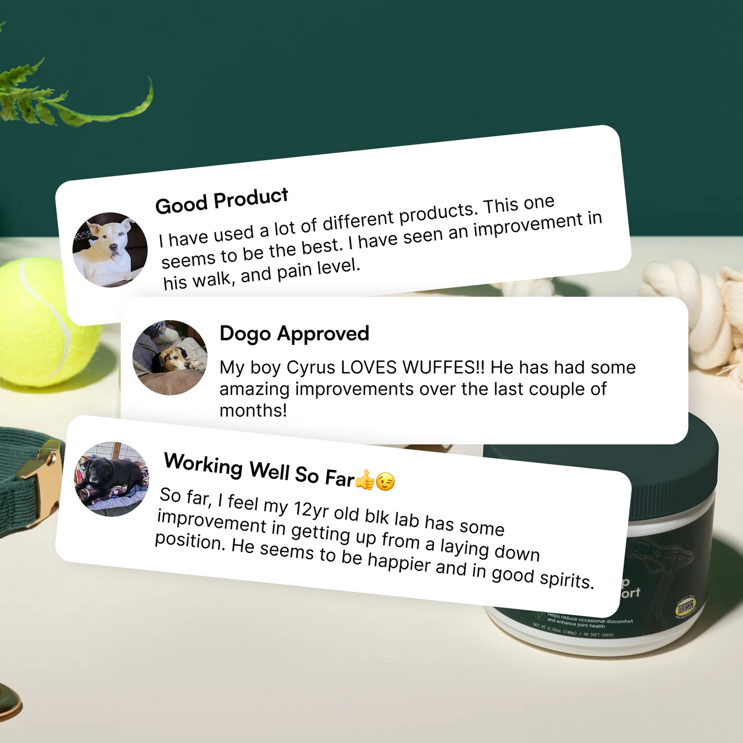 Advanced Hip  Joint Support