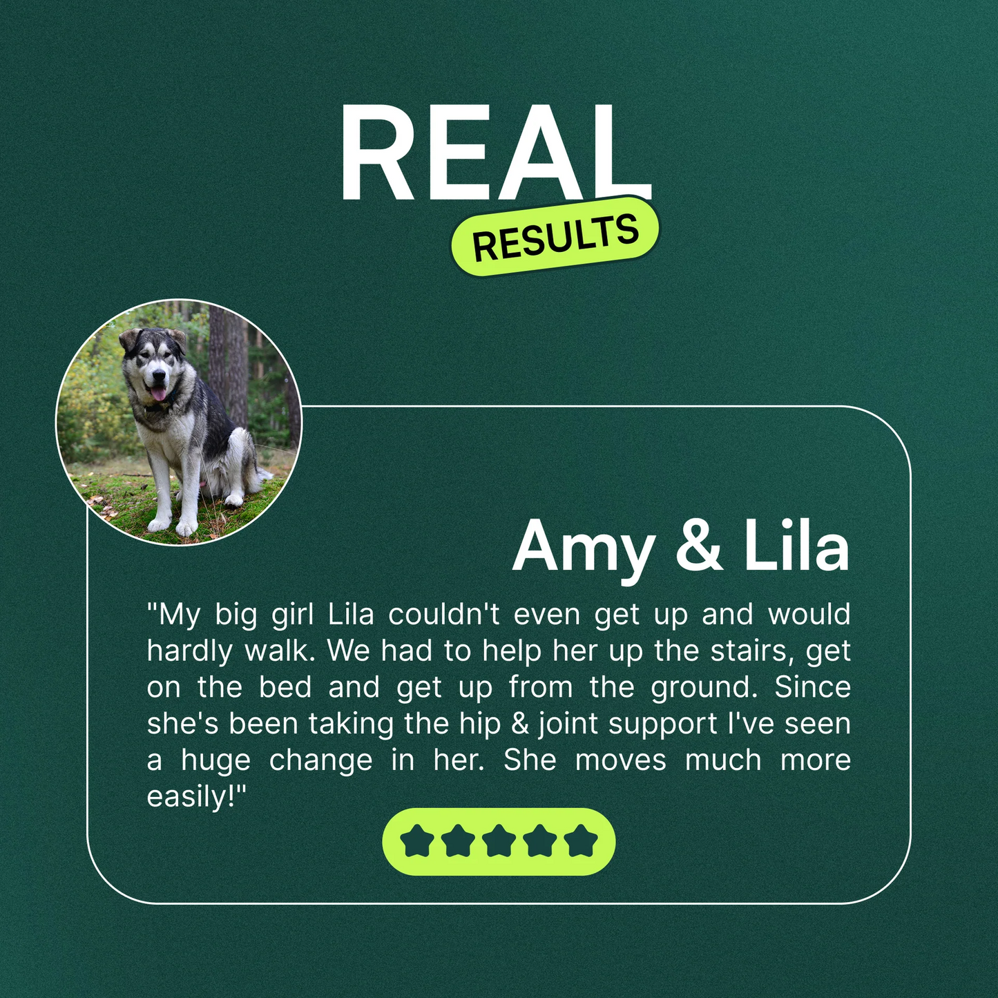 Advanced Hip  Joint Support