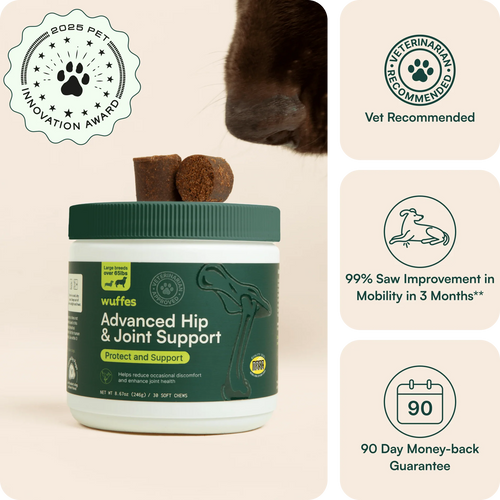 Advanced Hip  Joint Support